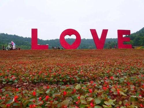 遂宁网红爆料最新消息,揭秘网红圈幕后真相！